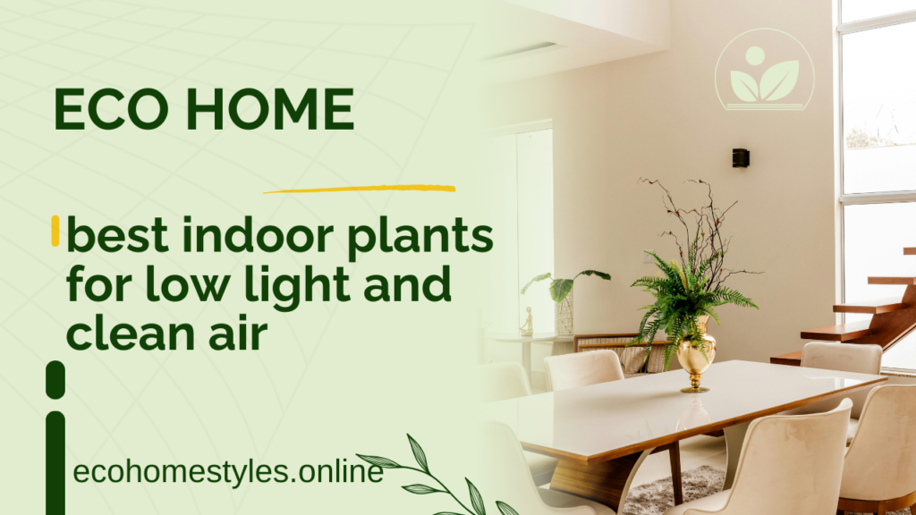 best indoor plants for low light and clean air